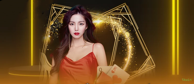 Guias de instalação da tkwin